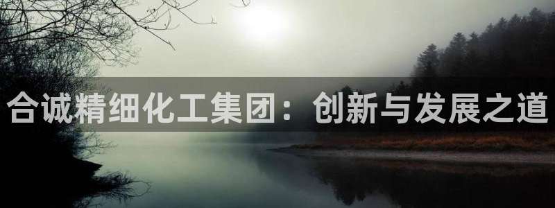 球盟会综合app下载：合诚精细化工集团：创新与发展之道