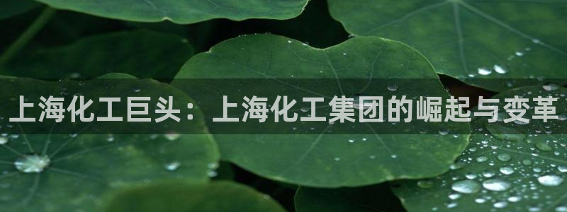 球盟会网页版登陆