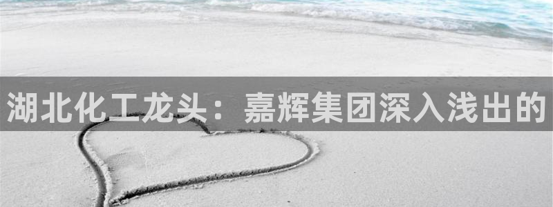 球盟会最新地址备用