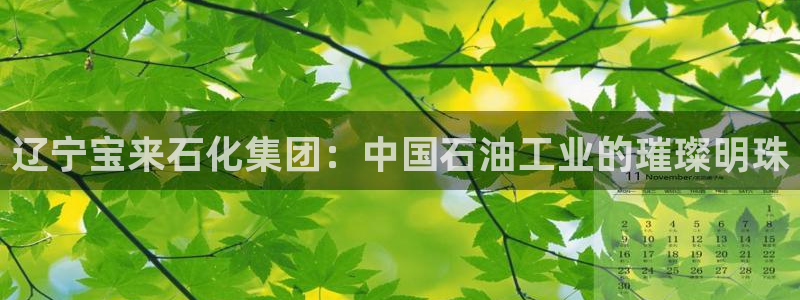 球盟会娱乐平台：辽宁宝来石化集团：中国石油工业的璀璨明珠