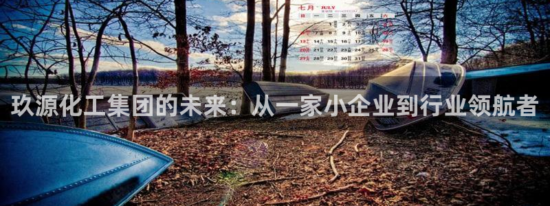 球盟会类似的网站：玖源化工集团的未来：从