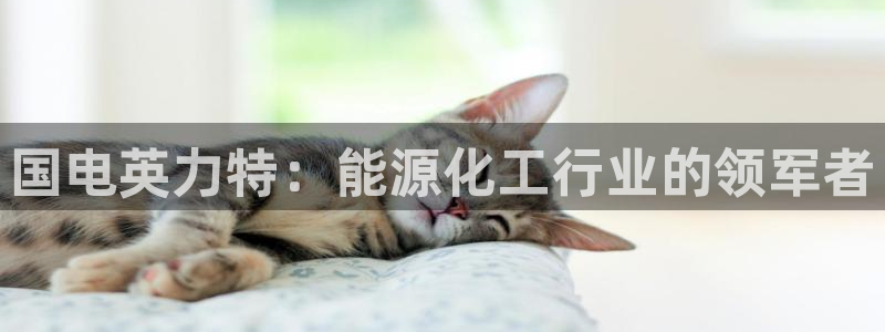 球盟会中国官方网站