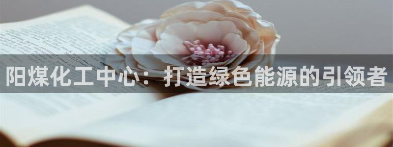 球盟会app最新地址在哪：阳煤化工中心：