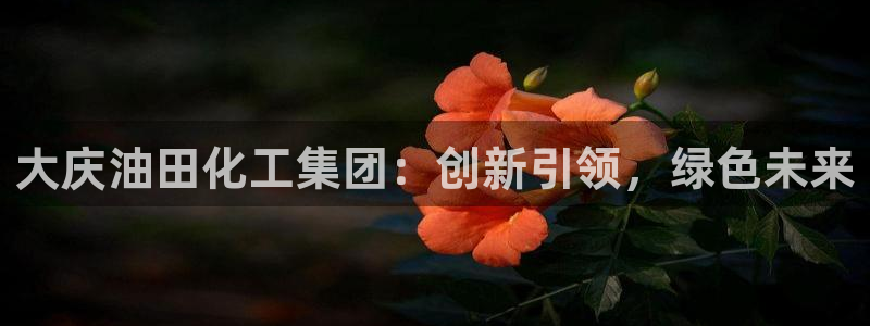 球盟会论坛：大庆油田化工集团：创新引领，