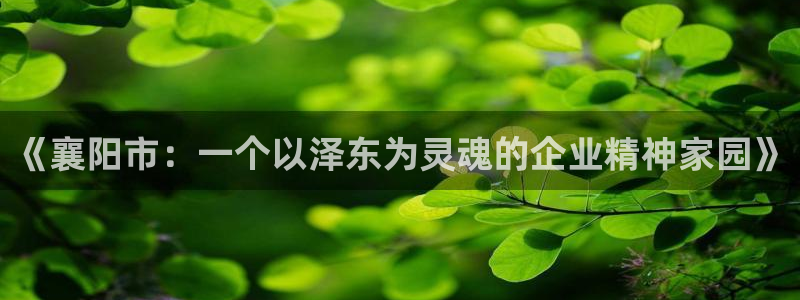 球盟会官网入口：《襄阳市：一个以泽东为灵魂的企业精神家园》