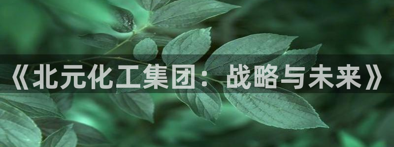球盟会官方下载：《北元化工集团：战略与未来》