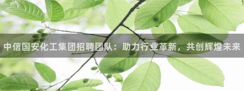 球盟会平台会黑单吗：中信国安化工集团招聘团队：助力行业革新，