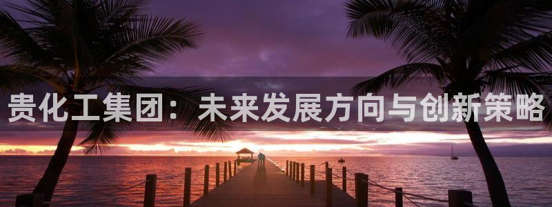 球盟会福利码2023最简单三个步骤：贵化工集团：未来发展方向