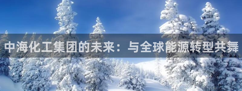 球盟会进不去吗：中海化工集团的未来：与全球能源转型共舞