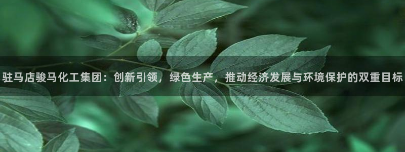 球盟会连接：驻马店骏马化工集团：创新引领，绿色生产，推动经济