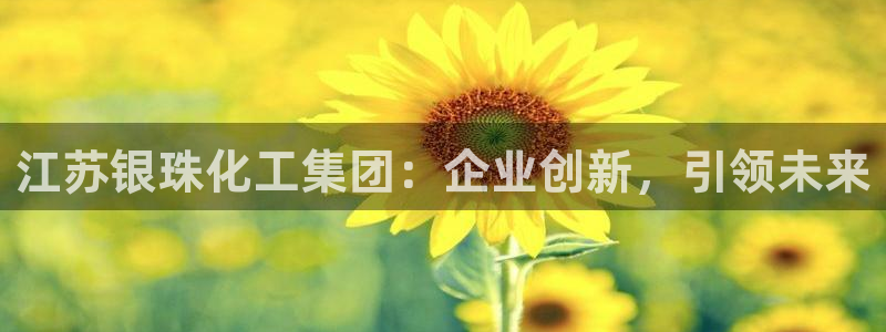 球盟会官网：江苏银珠化工集团：企业创新，引领未来