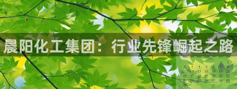 球盟会和中欧会的区别：晨阳化工集团：行业先锋崛起之路