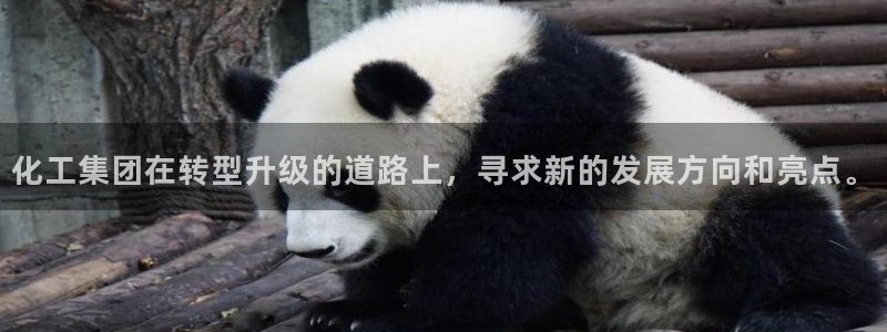 球盟会和中欧会的区别：化工集团在转型升级的道路上，寻求新的发