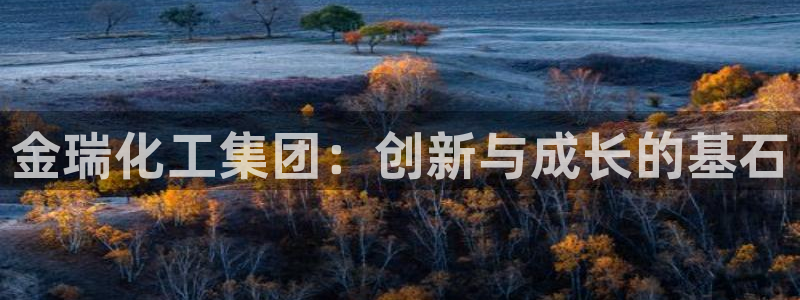 球盟会qm：金瑞化工集团：创新与成长的基石