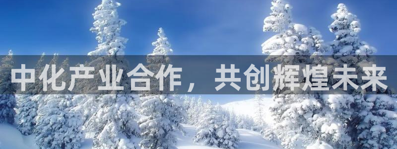 球盟会综合体育平台怎么样：中化产业合作，共创辉煌未来