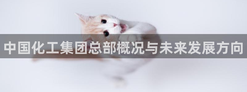 球盟会网页登录入口：中国化工集团总部概况与未来发展方向