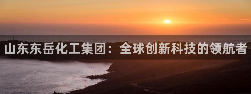 球盟会体育平台：山东东岳化工集团：全球创新科技的领航者