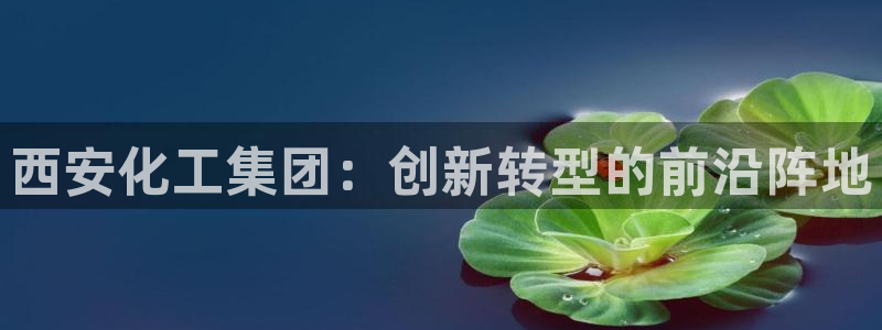 球盟会官方网站：西安化工集团：创新转型的前沿阵地