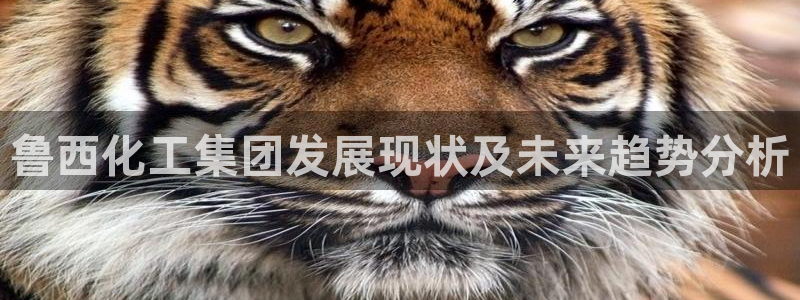 球盟会吧：鲁西化工集团发展现状及未来趋势分析