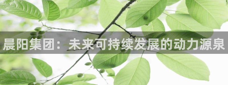 球盟会黑台：晨阳集团：未来可持续发展的动力源泉
