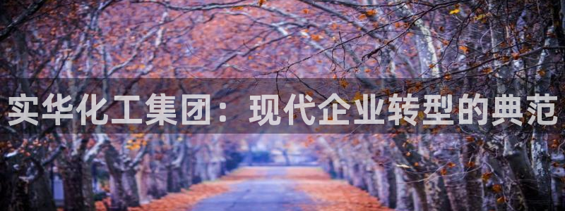 球盟会最新网：实华化工集团：现代企业转型的典范