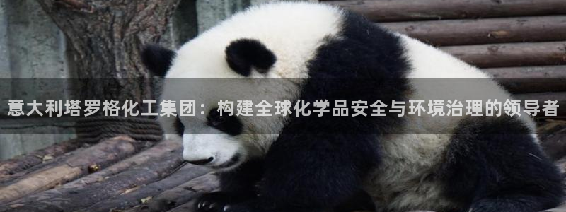 球盟会出款黑了：意大利塔罗格化工集团：构