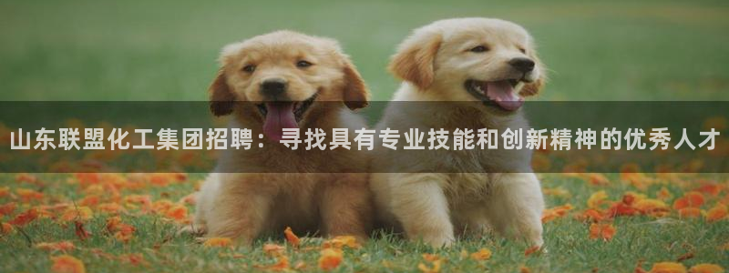 球盟会平台会黑单吗：山东联盟化工集团招聘