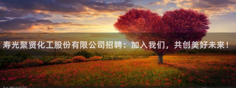 球盟会app：寿光聚贤化工股份有限公司招